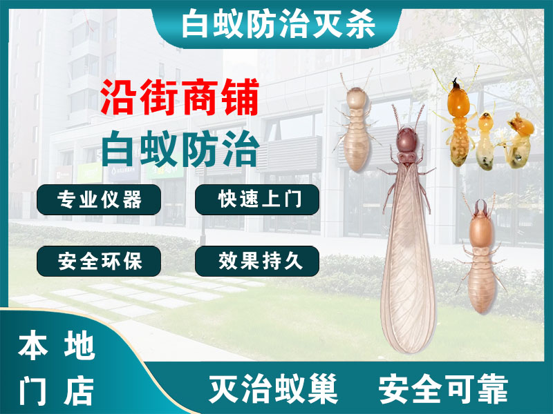 惠山区沿街商铺白蚁防治