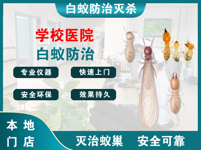 惠山区学校医院白蚁防治