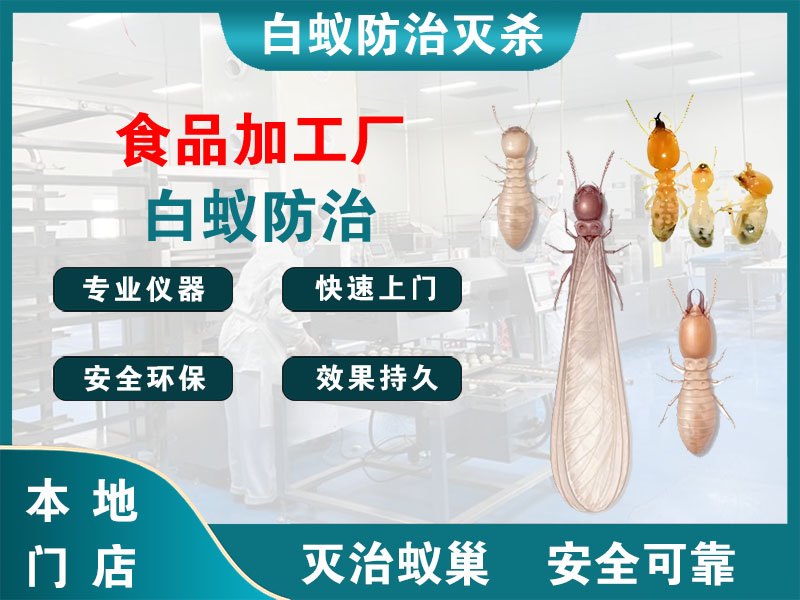 惠山区食品加工厂白蚁防治
