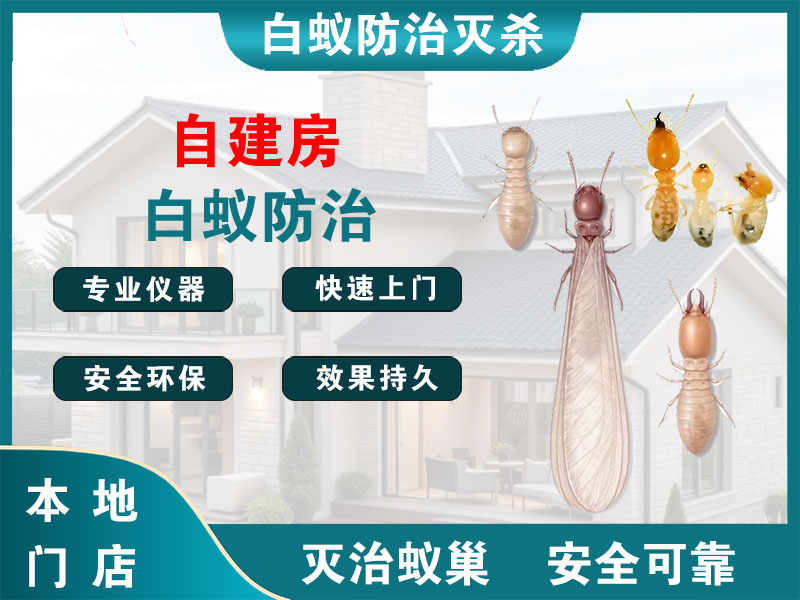 惠山区自建房白蚁防治