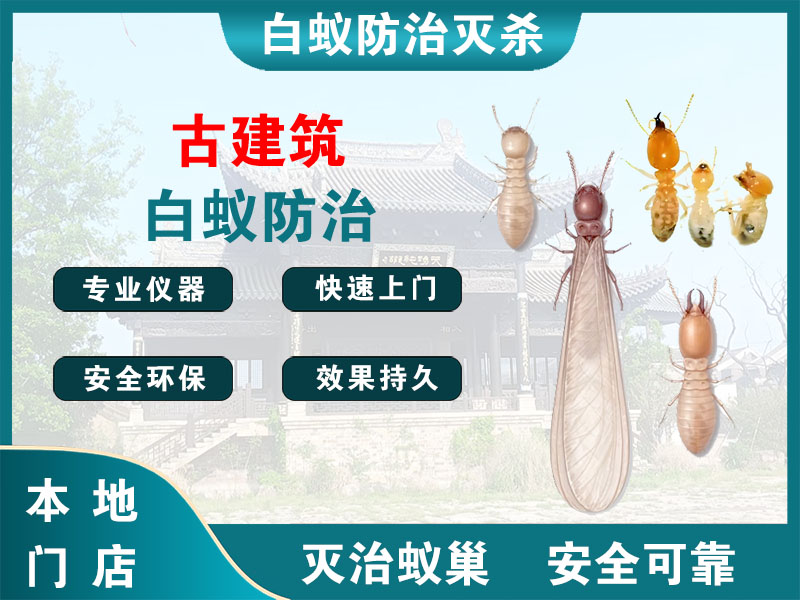 惠山区古建筑白蚁防治