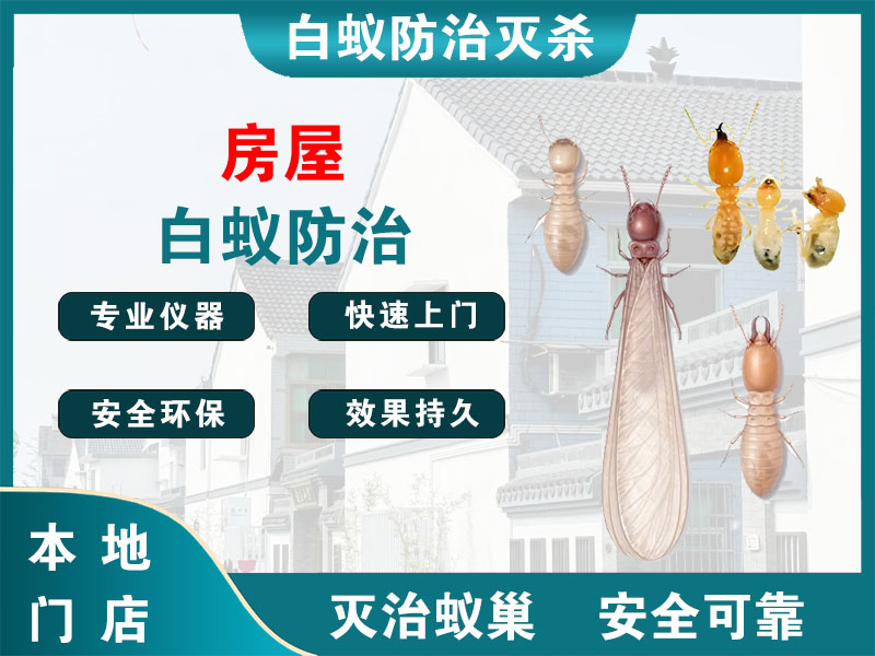 惠山区房屋白蚁防治